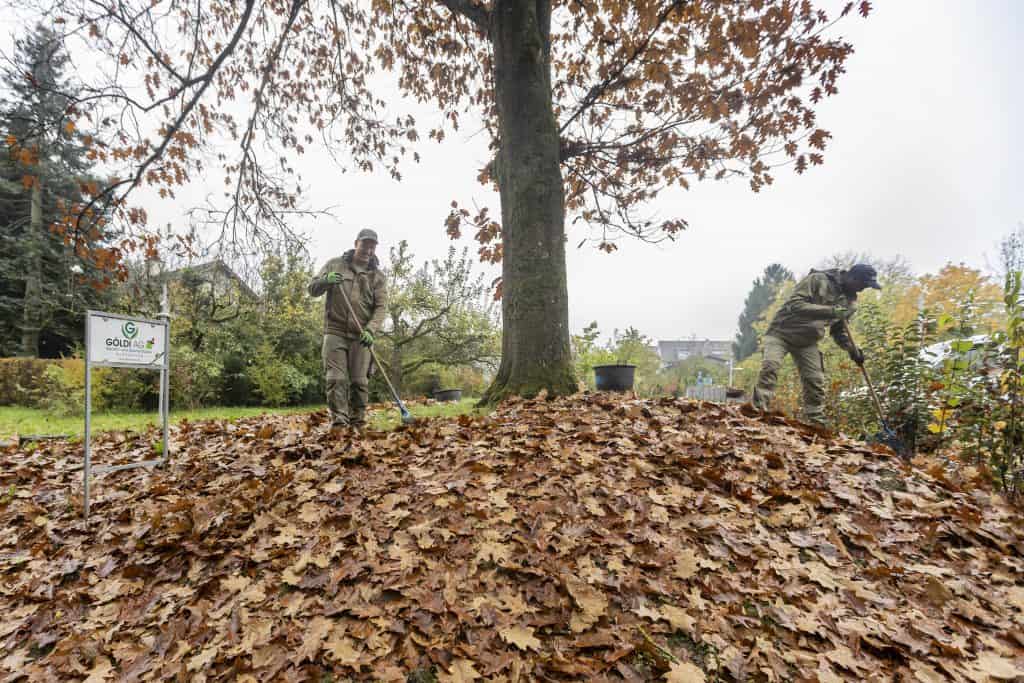 goeldiag-gartenunterhalt-herbst-blog-news (2)